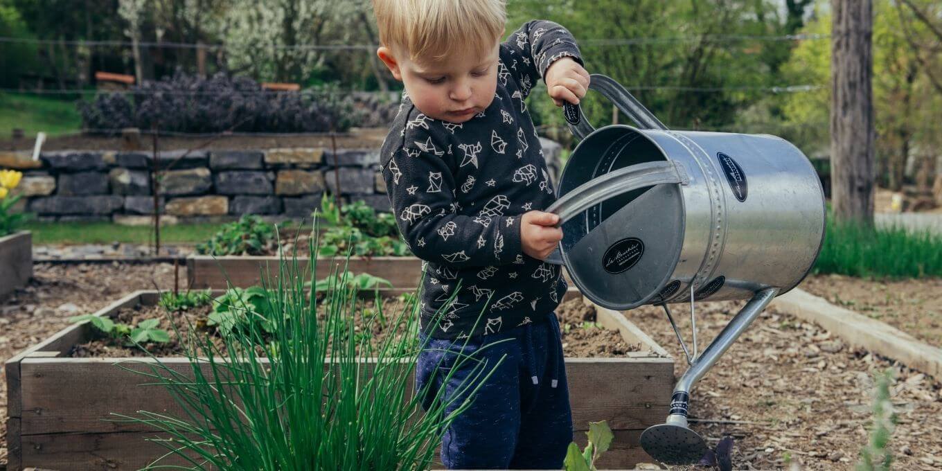 Little boy watering a garden with large watering can