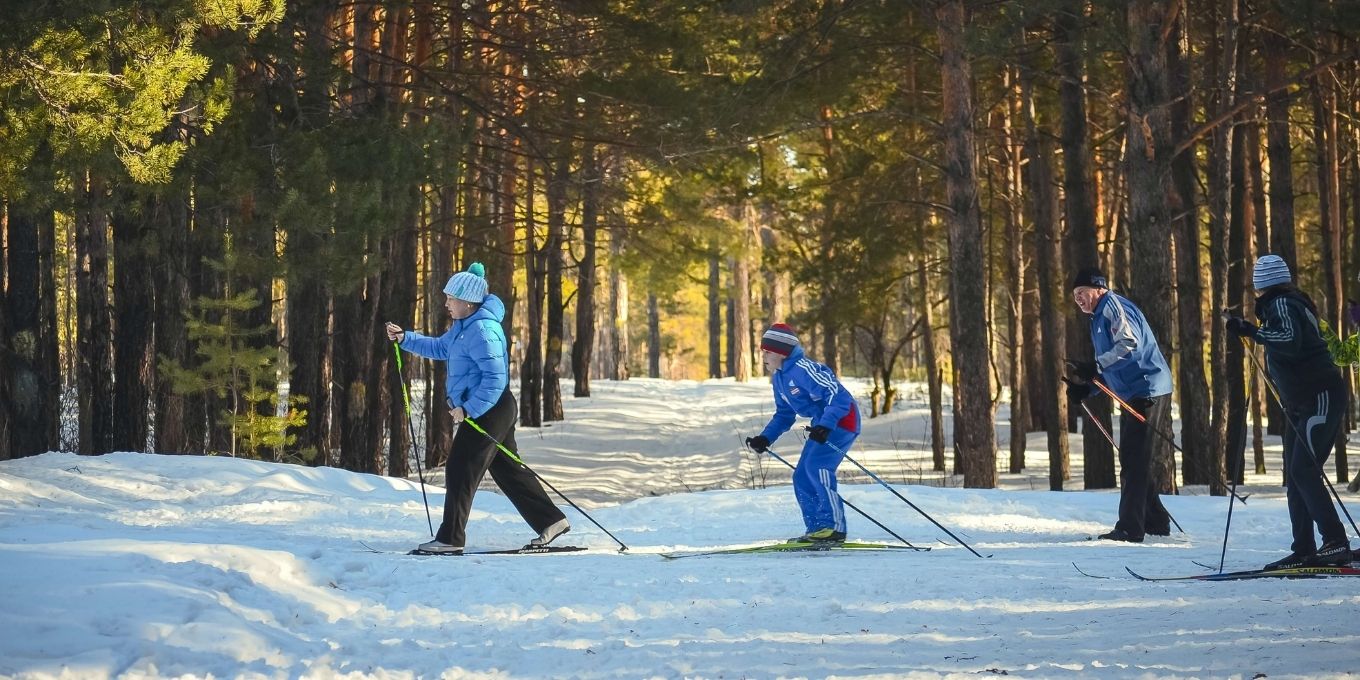 Family cross country skiing down a trail in a winter scene