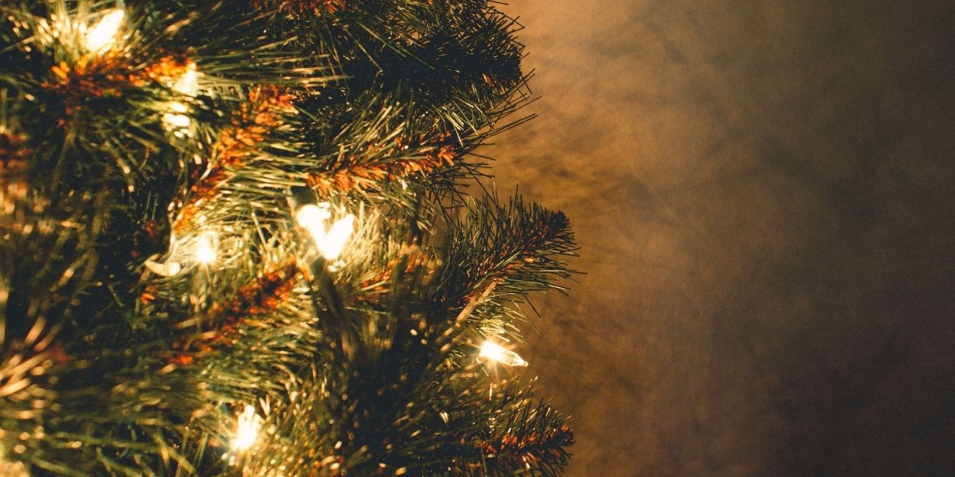 Close up of Christmas lights on a tree