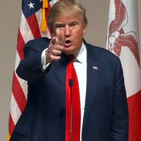 Donald trump the 2nd amendment supporter
