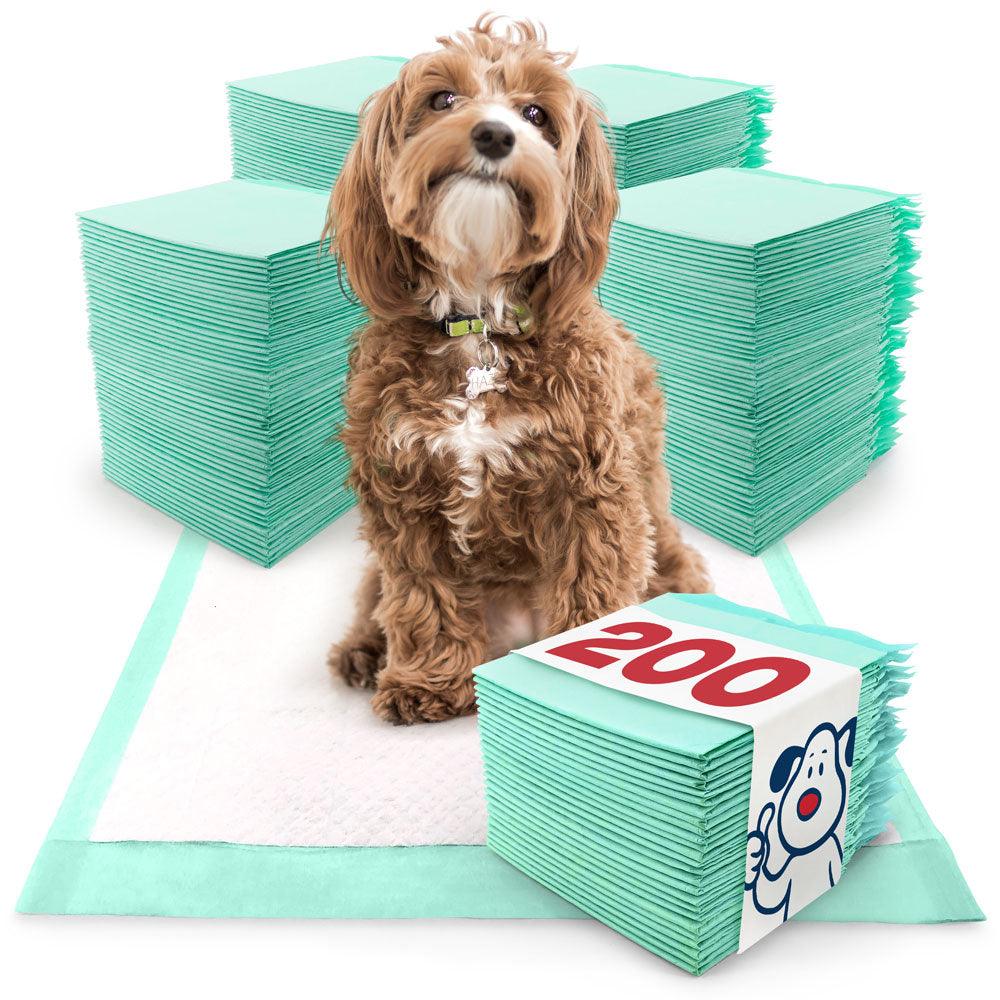 ValuePad Puppy Pads, Medium 23x24 Inch, Economy, 448 Count BULK