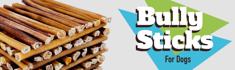 Bully Sticks or Rawhide Chews: What's Best for Our Furry Friends?