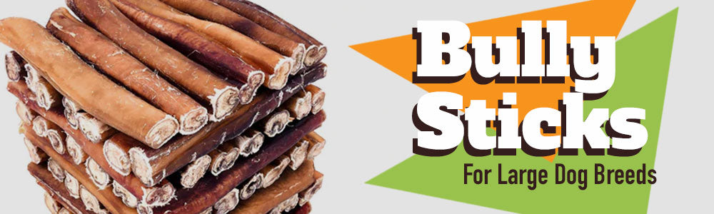 Buying the right bully sticks for large dog breeds