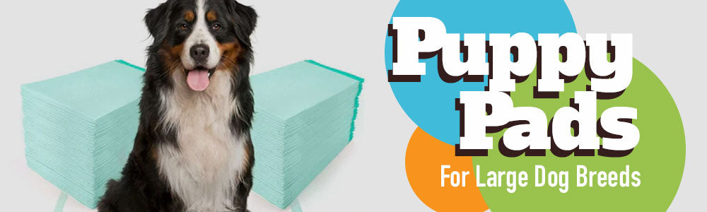 Buying the right puppy pads for large dog breeds