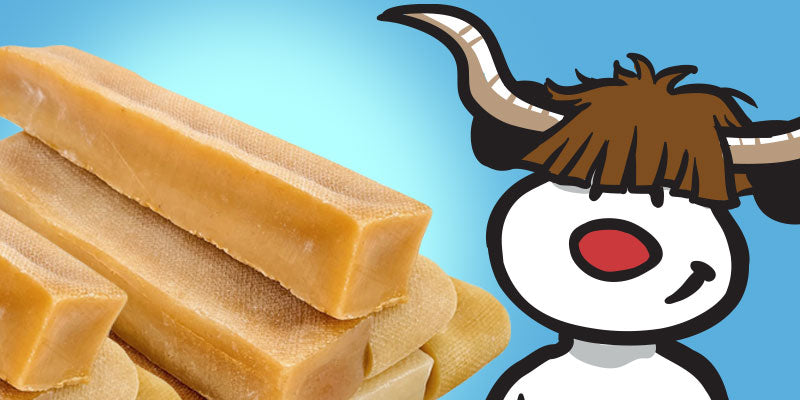 Yak Cheese for Dogs at valuepetsupplies.com