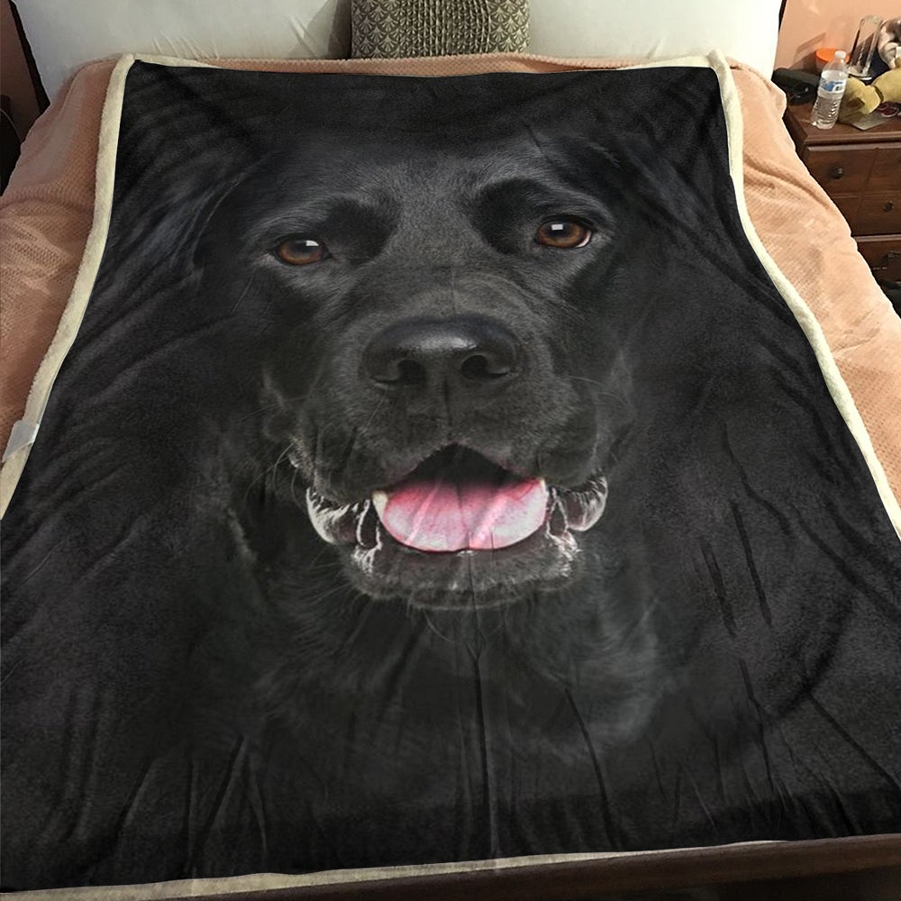 how big is a dog blanket