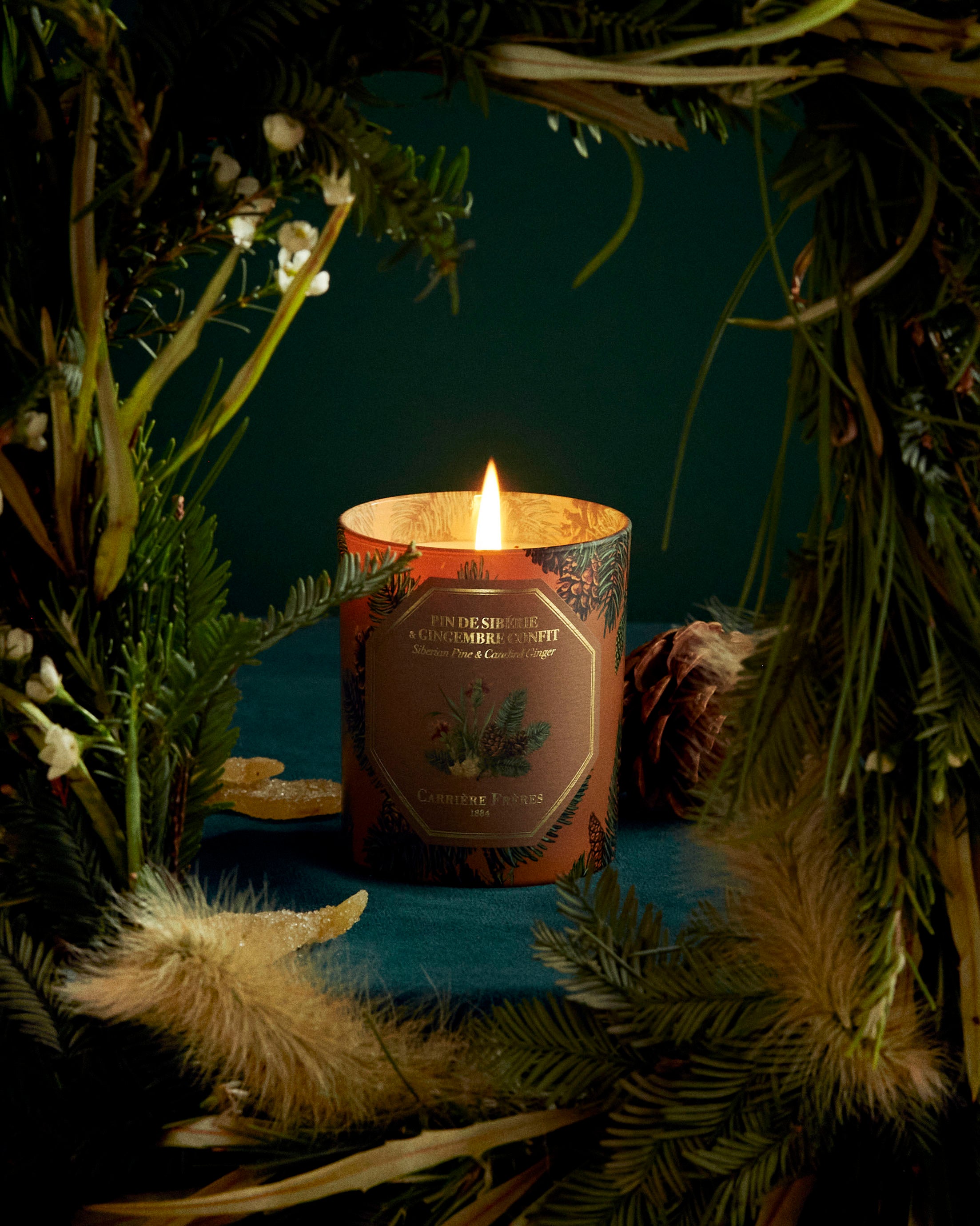 Pine & Candied Ginger Candle