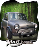 Mini Cooper S from Smiling Wombat