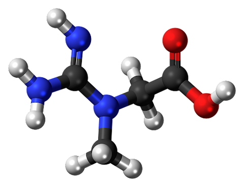 A molecular model of creatine.