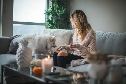A woman and her dog sitting on a sofa with a coffee table in front of her.
