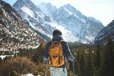 Man over looking partially snowy mountains and forest