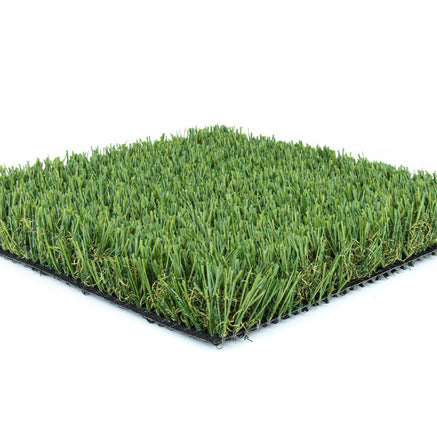 Zoysia Sod.jpeg__PID:7a4c9801-4f0a-47ae-876a-9b594ea89285