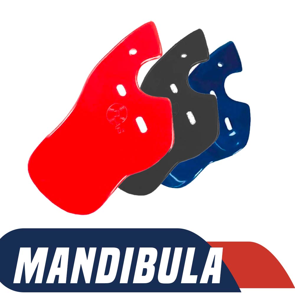 mandibula