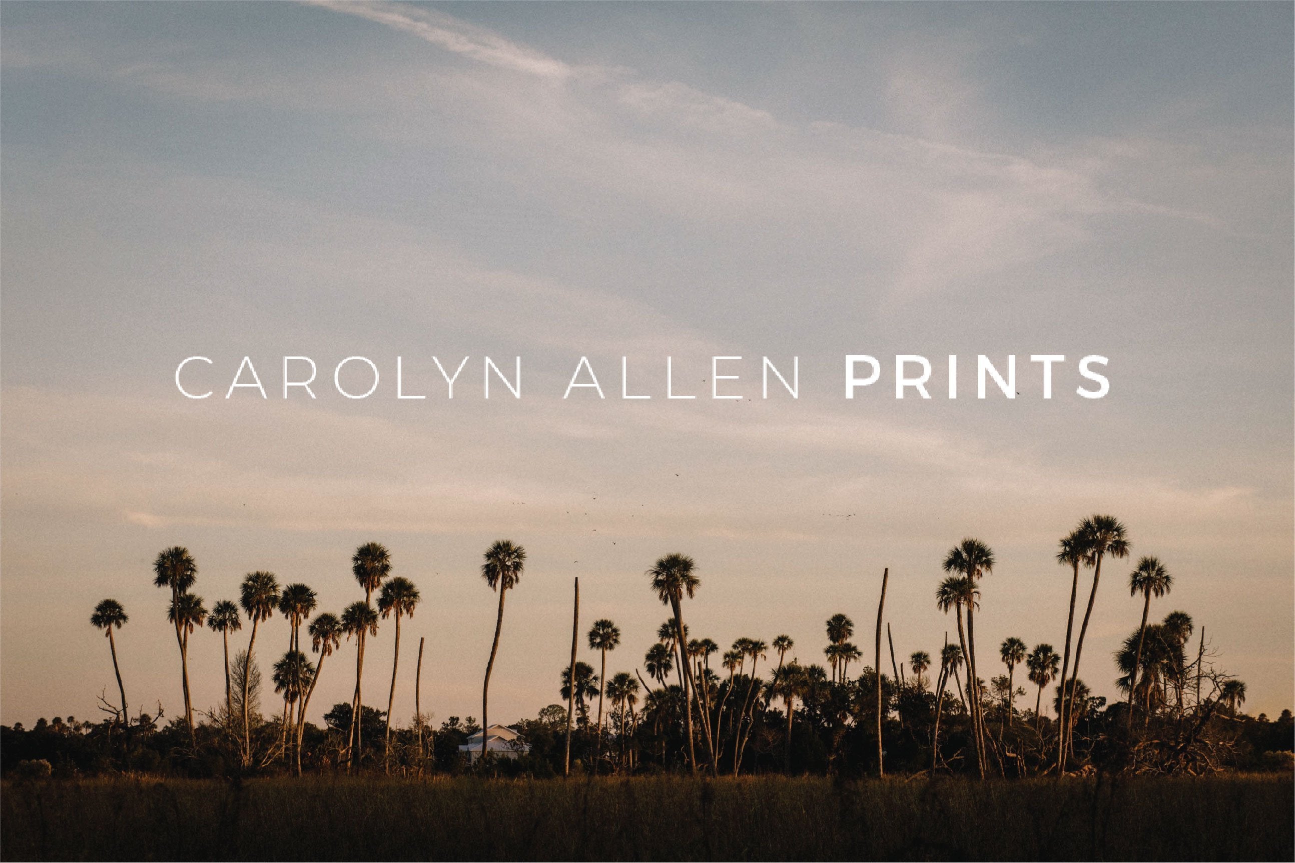 Carolyn Allen Prints