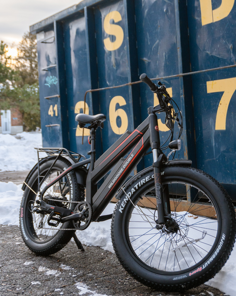 Daymak WildGoose Double - Ebike Universe