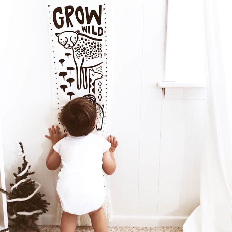 Wee Gallery Safari Canvas Growth Chart Smart Art for Growing Minds