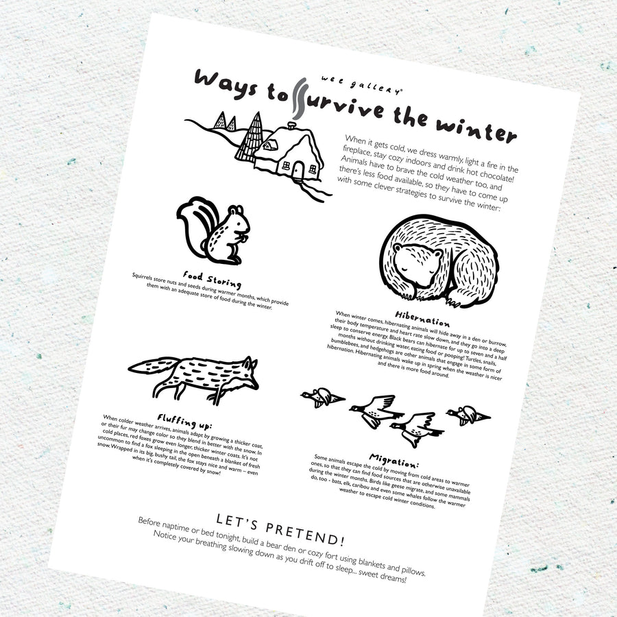 550 Free Printable Coloring Pages Hibernating Animals  Free