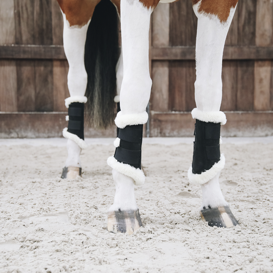 Teknit boot • Revolutionary riding boots women Horse Pilot