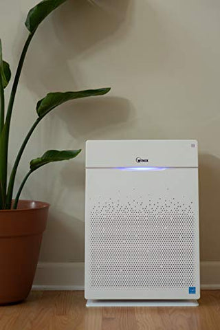 winix pet air purifier