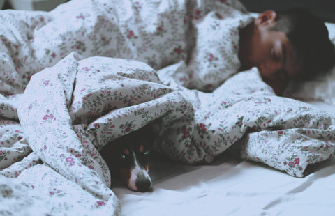 man sleeping under the covers next to his dog