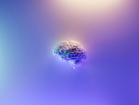 human brain on a vivid purple background