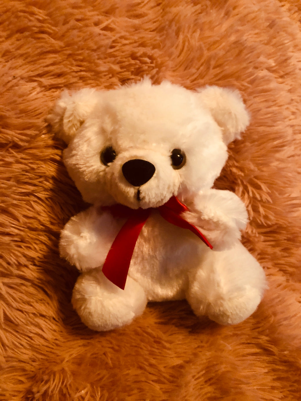 teddy bear with red bow