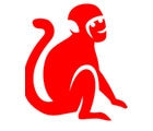 Year of the Monkey