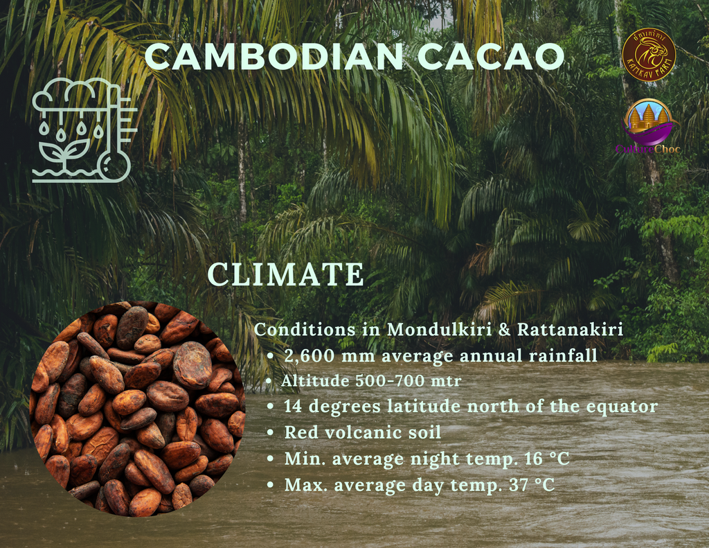 cacao brochure 2021 kamkav farm - 4