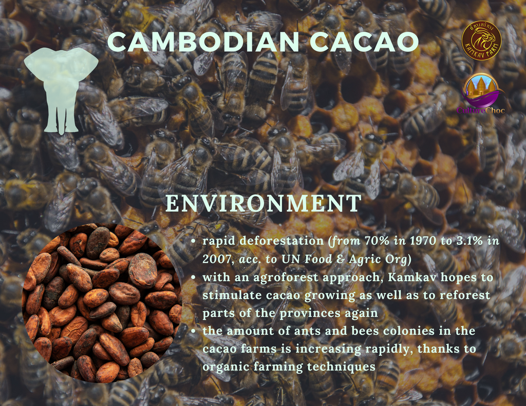 cacao brochure 2021 kamkav farm - 5