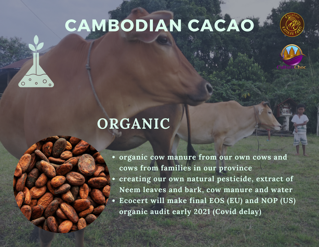 cacao brochure 2021 kamkav farm - 7