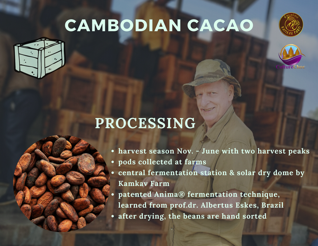 cacao brochure 2021 kamkav farm - 8