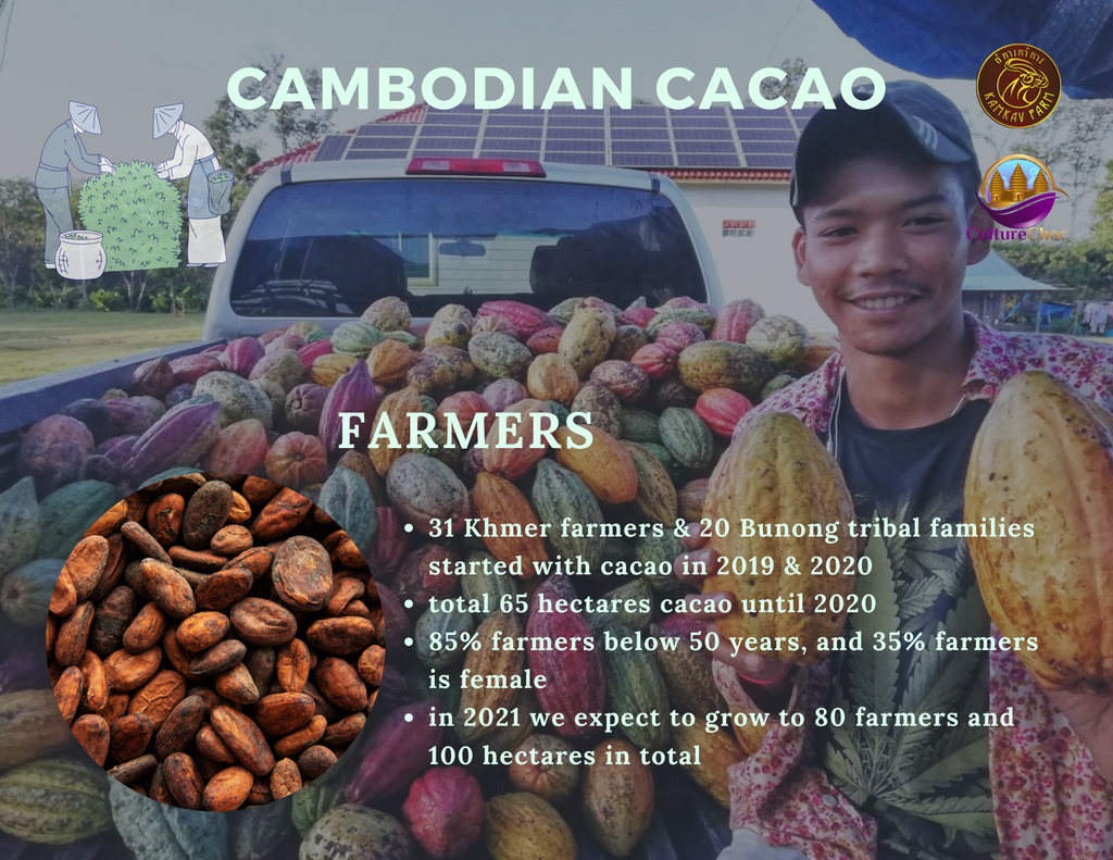 cacao brochure 2021 kamkav farm - 9