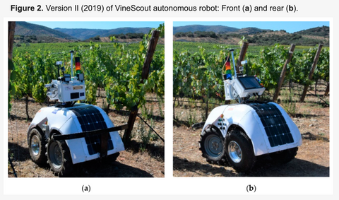 vineyard robot