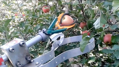 apple agro robot
