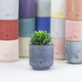 Cache-pot pour plantes vertes, béton coloré, décoration d'intérieur