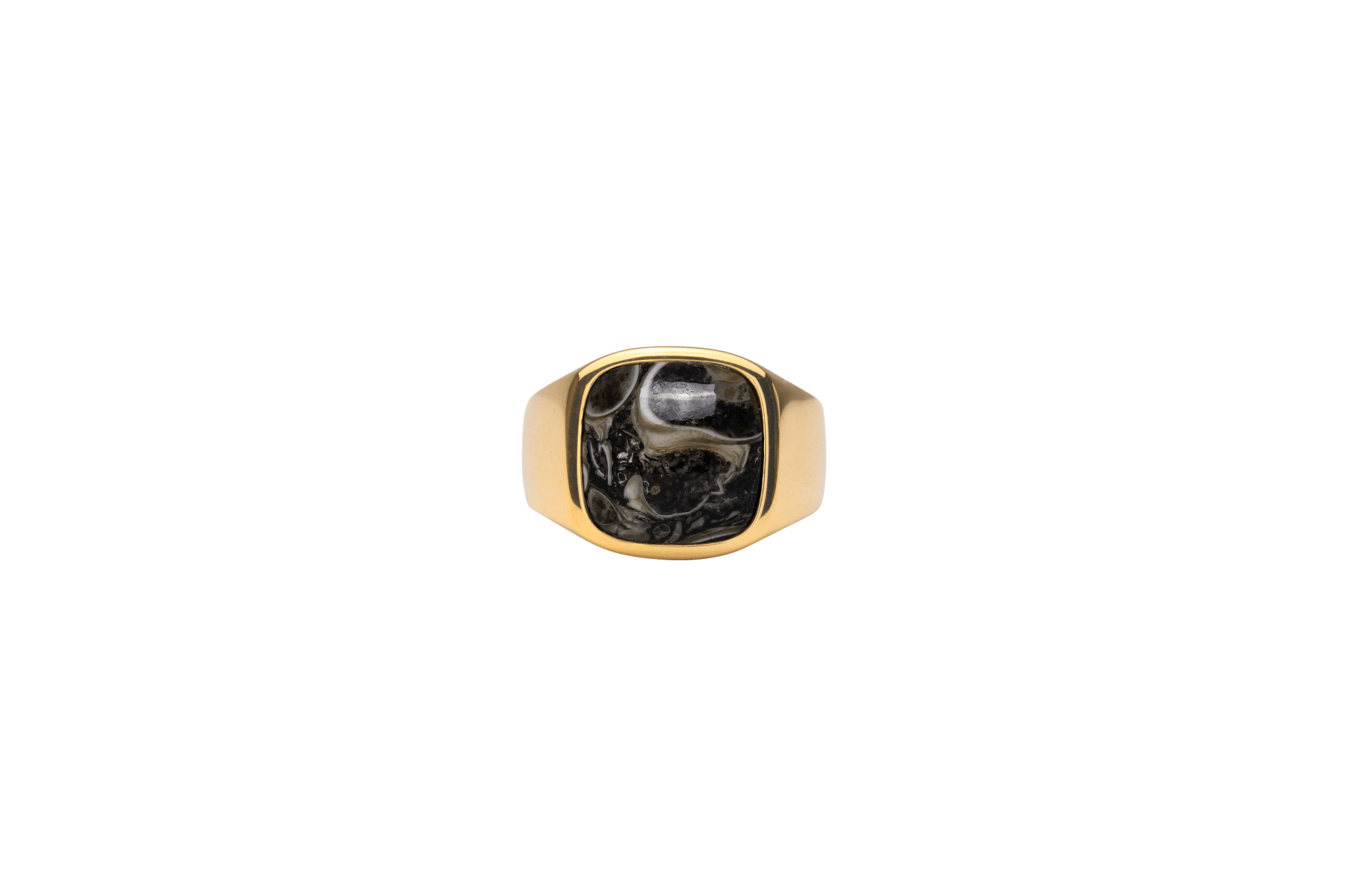 Billede af IX Cushion Signet Ring Turtle Agate