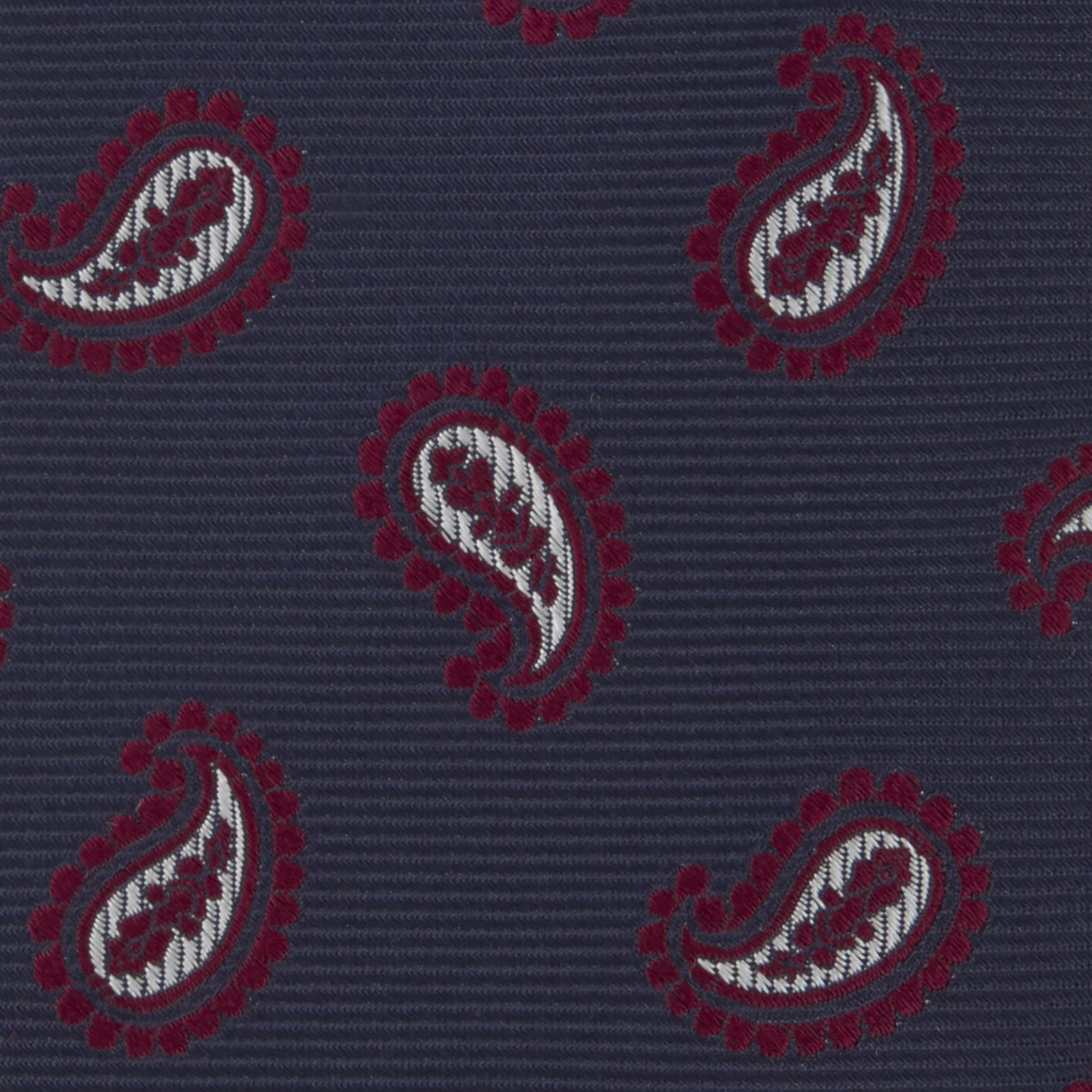 Navy and Burgundy Floating Paisley Silk Tie