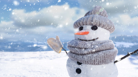Free, Fun & Eco-Friendly Winter Activities for Your Family – Green City ...