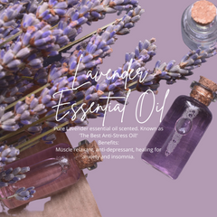 lavender essential oil pic