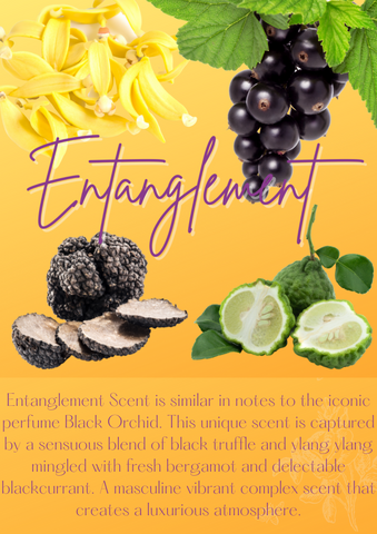 Entanglement Visual Scent Description