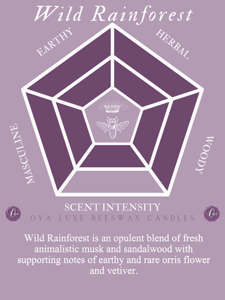 Wild Rainforest - Musk & Sandalwood Candle Scent