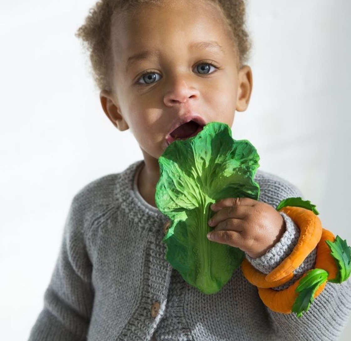 carrot teething toy