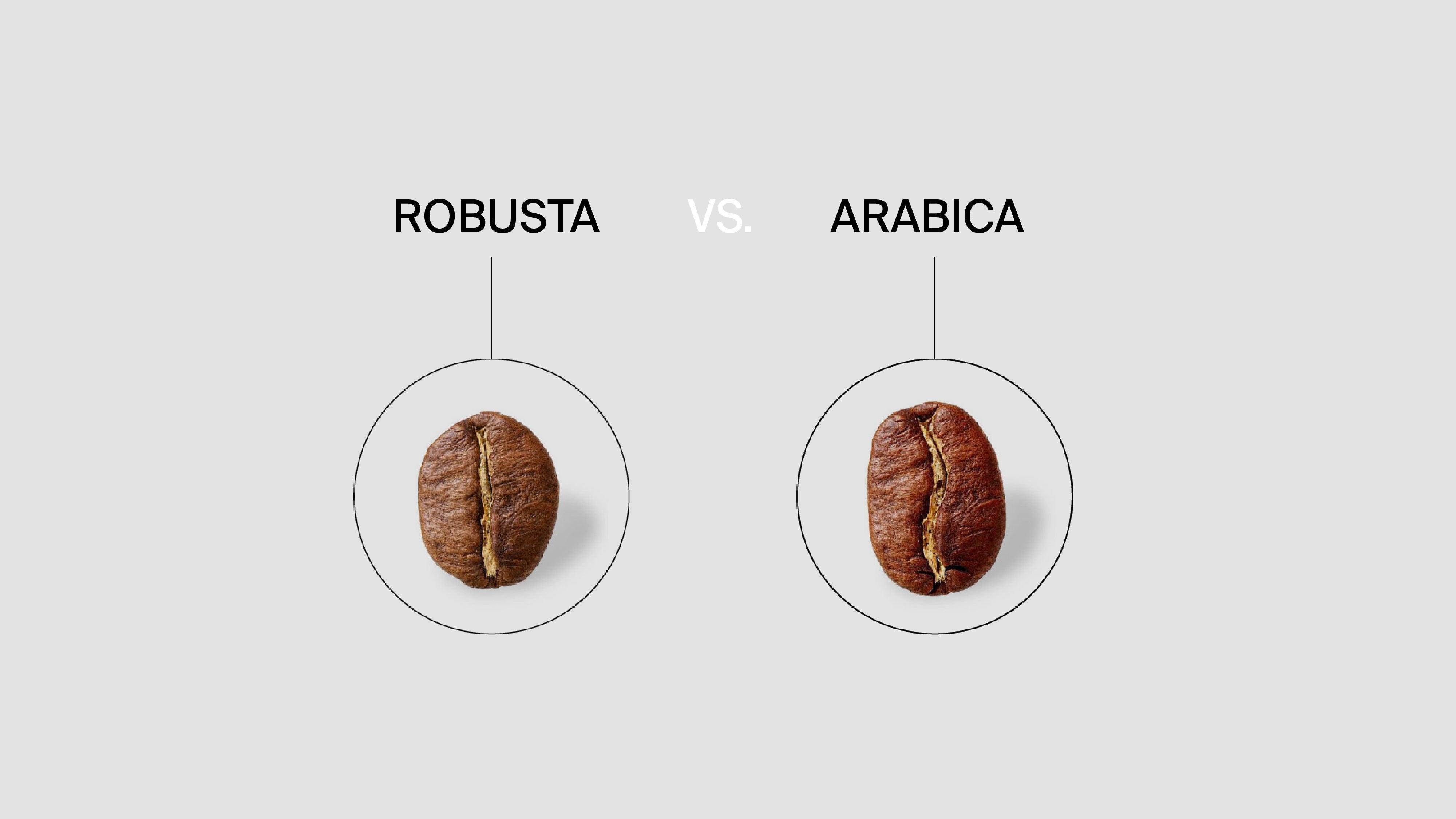 Arabica vs Robusta – Kaffeevergleich