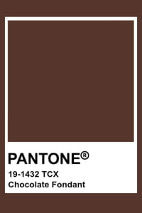 Pantone Marron Chocolat