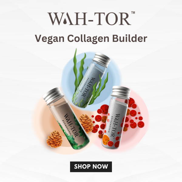 Best vegan collagen builder