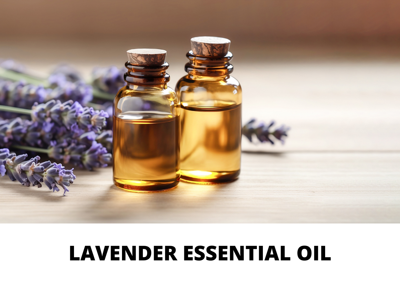 Lavender Essential Oil