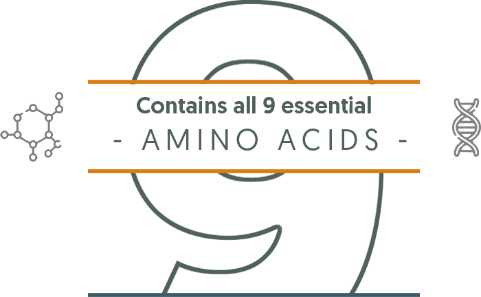 Contains all 9 essential Amino Acids