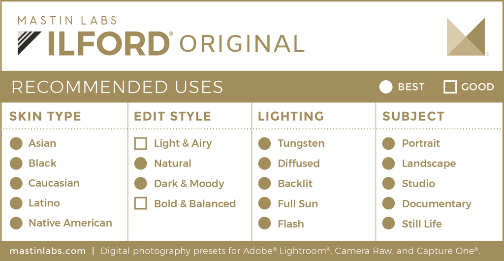 mastin labs ilford original presets recommended uses chart