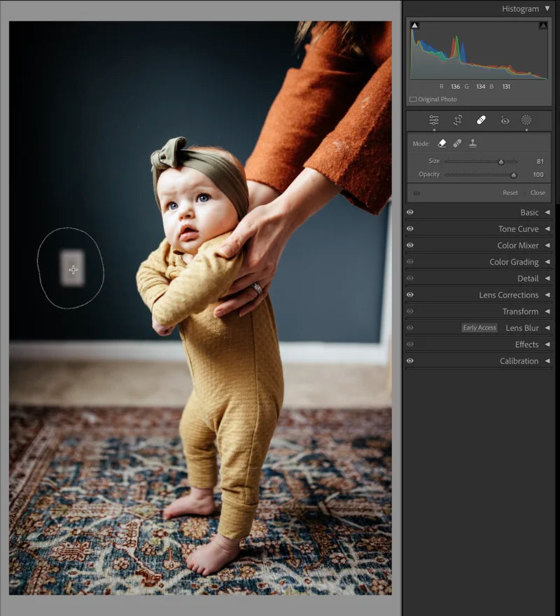 Screenshot of a picture of a baby being held under their arms in Adobe Lightroom showing the remove objects tool