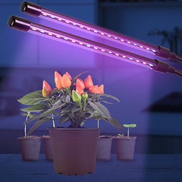 Colibri Lampada per Piante LED Sune, 21.2 × 11 cm